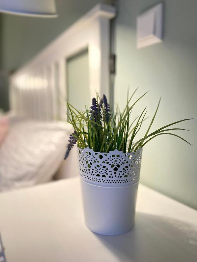 Bed N Riesling Apartman Forst an der Weinstrasse Kültér fotó
